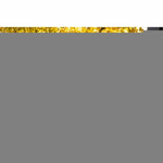 Gebläse Scheppach LBH3500P Benzin 25.4 CC