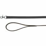 Hundeleine Trixie Grau 1 m L/XL