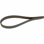 Hundeleine Trixie Grau 1 m L/XL