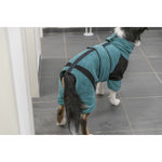 Bademantel für Hunde Trixie Blau XS