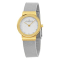 Damenuhr Skagen 358SGSCD (Ø 26 mm)