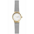 Damenuhr Skagen SKW2666 (Ø 26 mm)