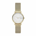 Damenuhr Skagen SKW2693 (Ø 30 mm)