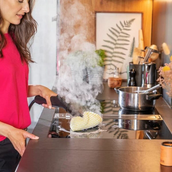 Reiniger Kärcher Dampfgarer 1500 W