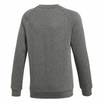 Jungen Sweater ohne Kapuze Adidas Core 18 Dunkelgrau