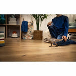 Figur mit Gelenken Schleich Carcharodontosaurus