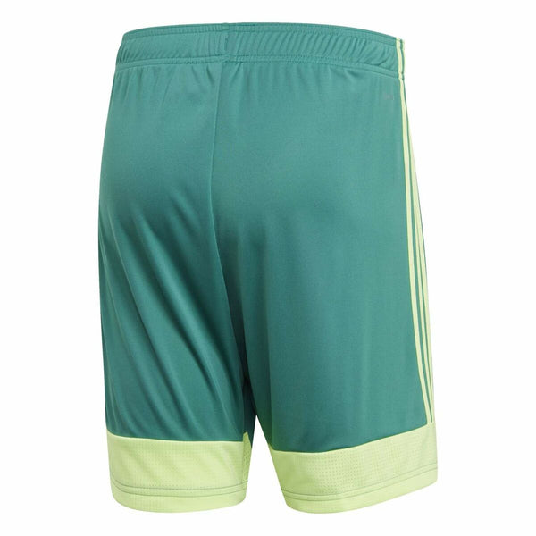 Herren-Sportshorts Adidas TASTIGO19 SHO grün