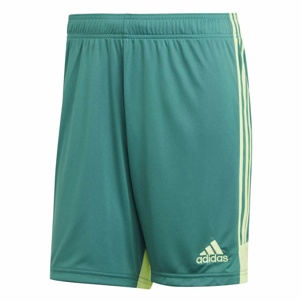 Herren-Sportshorts Adidas TASTIGO19 SHO grün