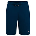 Herren-Sportshorts Fila FAM0448 50004 Grau