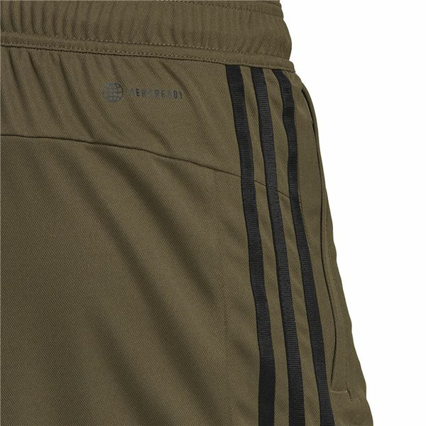Herren-Sportshorts Adidas Piqué Olive