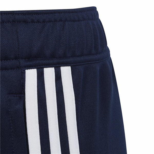 Lange Sporthose Adidas Tiro 23 Club Blau