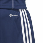 Herren-Sportshorts Adidas Tiro23 Club Blau