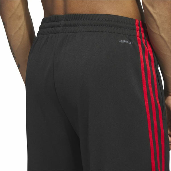 Herren-Sportshorts Adidas 3-Trainning ipes