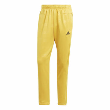 Fußball-Trainingshose für Erwachsene Adidas Herren M