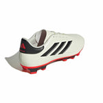 Fußballschuhe für Erwachsene Adidas Copa Pure 2 Club Fxg Weiß