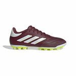 Fußballschuhe für Erwachsene Adidas Copa Pure 2 League 2G/3G Braun