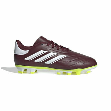 Fußballschuhe für Erwachsene Adidas Copa Pure 2 Club Fxg Braun