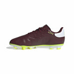 Fußballschuhe für Erwachsene Adidas Copa Pure 2 Club Fxg Braun