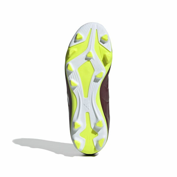 Fußballschuhe für Erwachsene Adidas Copa Pure 2 Club Fxg Braun