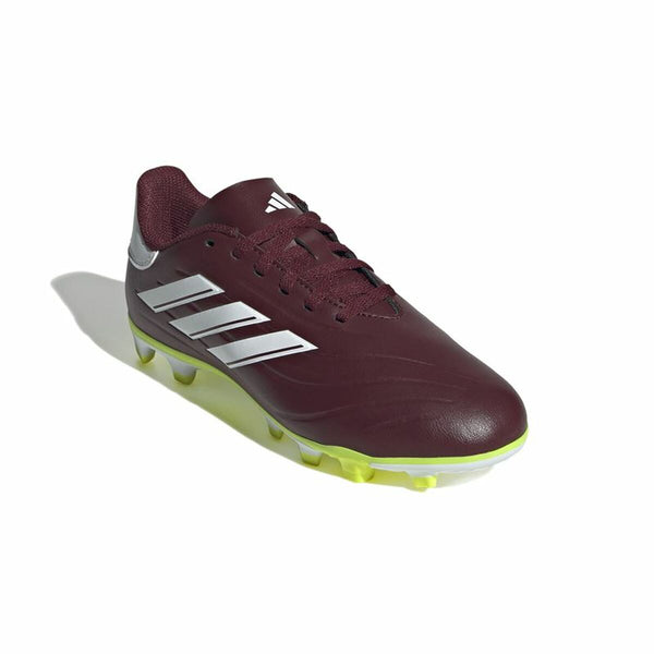 Fußballschuhe für Erwachsene Adidas Copa Pure 2 Club Fxg Braun