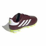 Fußballschuhe für Erwachsene Adidas Copa Pure 2 Club Fxg Braun