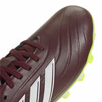 Fußballschuhe für Erwachsene Adidas Copa Pure 2 Club Fxg Braun