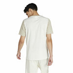 Herren Kurzarm-T-Shirt Adidas Big Logo Single Beige