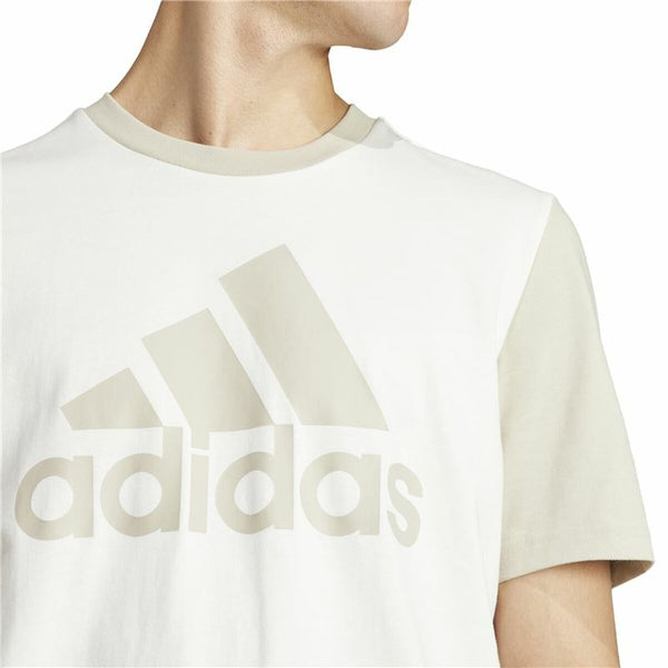 Herren Kurzarm-T-Shirt Adidas Big Logo Single Beige