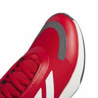 Basketballschuhe für Erwachsene Adidas Bounce Legends Escmej Rot