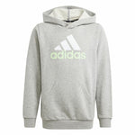 Jungen Sweater mit Kapuze Adidas U Bl 2 Hellgrau