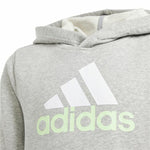 Jungen Sweater mit Kapuze Adidas U Bl 2 Hellgrau