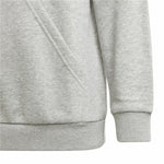 Jungen Sweater mit Kapuze Adidas U Bl 2 Hellgrau