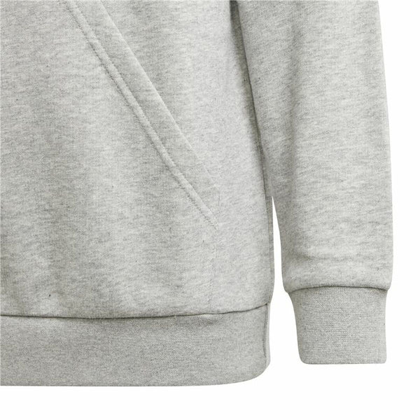 Jungen Sweater mit Kapuze Adidas U Bl 2 Hellgrau