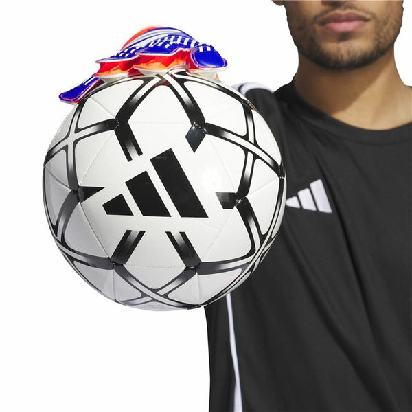 Torwarthandschuhe Adidas Predator Goalkeeper Bunt Erwachsene