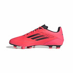 Fußballschuhe für Erwachsene Adidas F50 Club FxG Rot Rosa