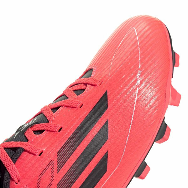 Fußballschuhe für Erwachsene Adidas F50 Club FxG Rot Rosa
