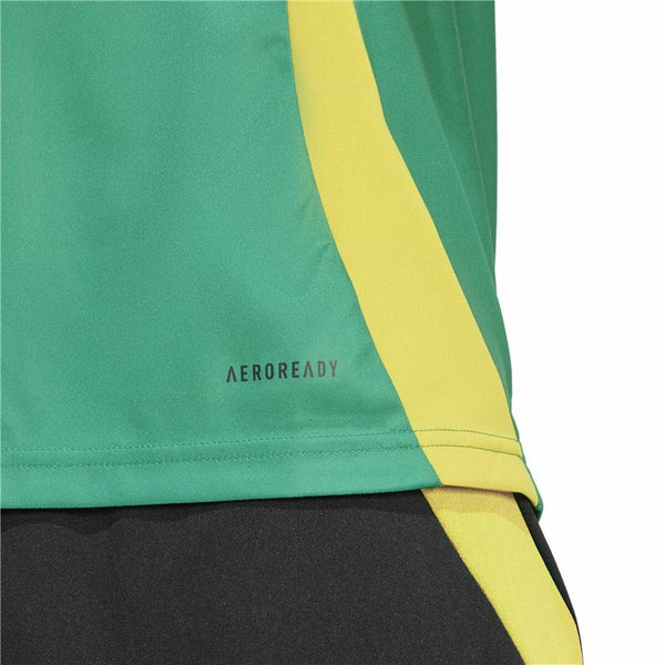 Fußballtrikot T-Shirt Adidas Jamaica 2024 Pre Match grün