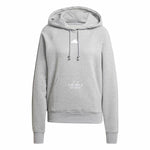 Herren Sweater mit Kapuze Adidas Signature Graphic Embroidery French Grau