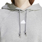 Herren Sweater mit Kapuze Adidas Signature Graphic Embroidery French Grau