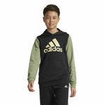 Herren Sweater mit Kapuze Adidas Essentials grün