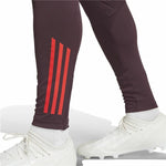 Lange Sporthose Adidas Fc Bayern 24/25 Tiro24 Braun Granatrot Herren