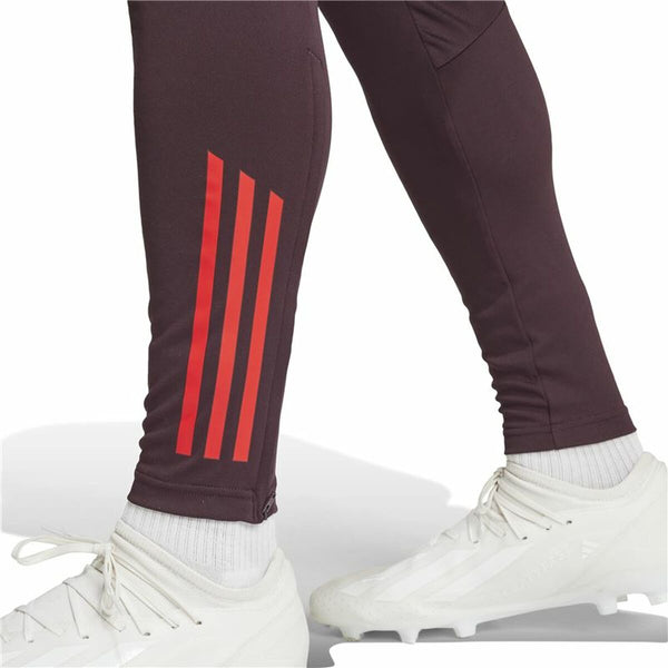 Lange Sporthose Adidas Fc Bayern 24/25 Tiro24 Braun Granatrot Herren