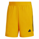 Fußball-Trainingshose für Erwachsene Adidas House of Tiro National Pack Herren