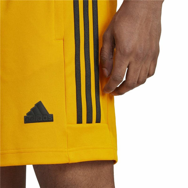 Fußball-Trainingshose für Erwachsene Adidas House of Tiro National Pack Herren