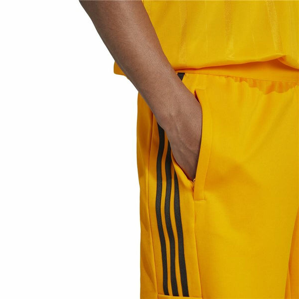 Fußball-Trainingshose für Erwachsene Adidas House of Tiro National Pack Herren