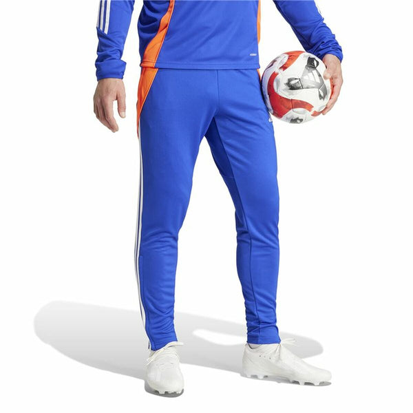 Fußball-Trainingshose für Erwachsene Adidas Tiro24 Training Regular Herren