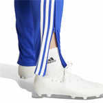Fußball-Trainingshose für Erwachsene Adidas Tiro24 Training Regular Herren