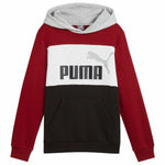 Jungen Sweater mit Kapuze Puma Essentials Block