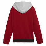 Jungen Sweater mit Kapuze Puma Essentials Block