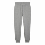 Trainingshose für Erwachsene Puma Power Graphic Sweatpants Grau Herren